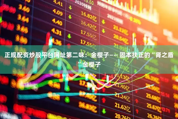 正规配资炒股平台网址第二味：金樱子—— 固本扶正的“肾之盾”金樱子