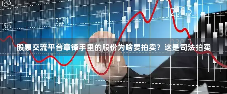 股票交流平台章锋手里的股份为啥要拍卖？这是司法拍卖