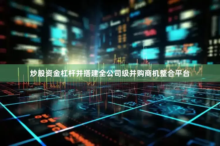 炒股资金杠杆并搭建全公司级并购商机整合平台