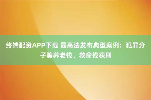 终端配资APP下载 最高法发布典型案例：犯罪分子骗养老钱、救命钱获刑