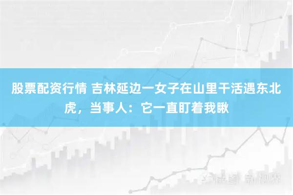 股票配资行情 吉林延边一女子在山里干活遇东北虎，当事人：它一直盯着我瞅