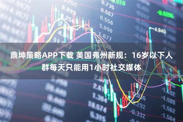 鼎坤策略APP下载 美国弗州新规：16岁以下人群每天只能用1小时社交媒体
